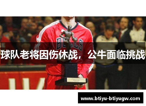 球队老将因伤休战，公牛面临挑战